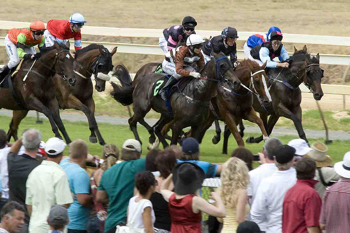 Events at Pinjarra Park