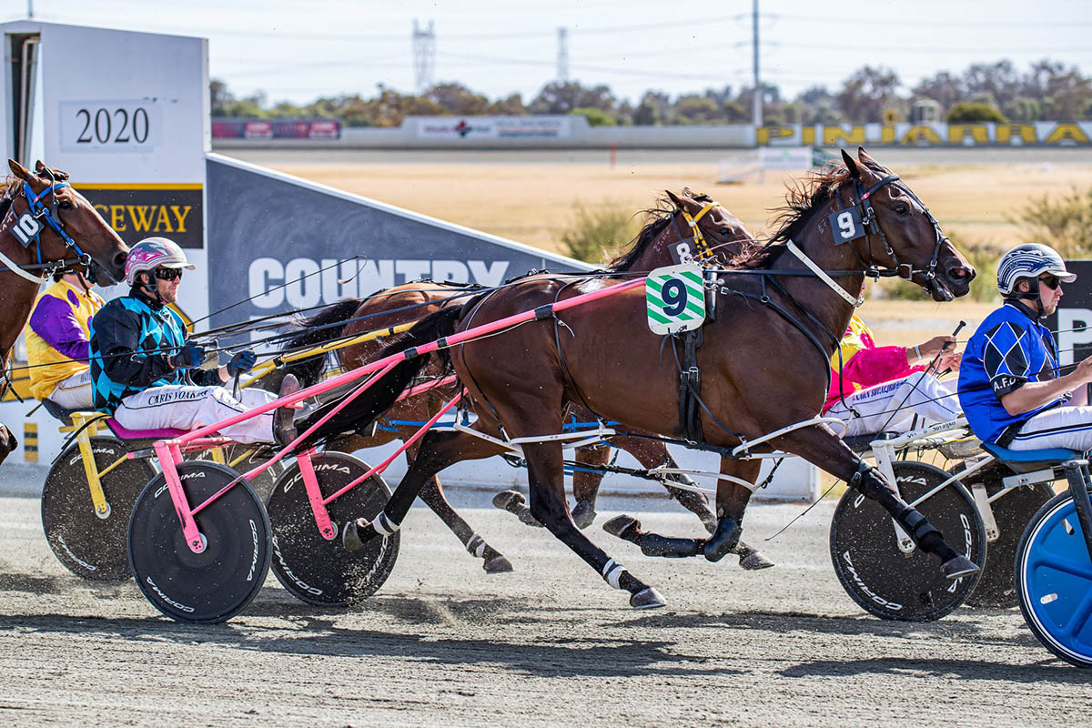 Events at Pinjarra Paceway