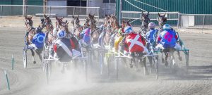Pinjarra Paceway Racing and Family Event