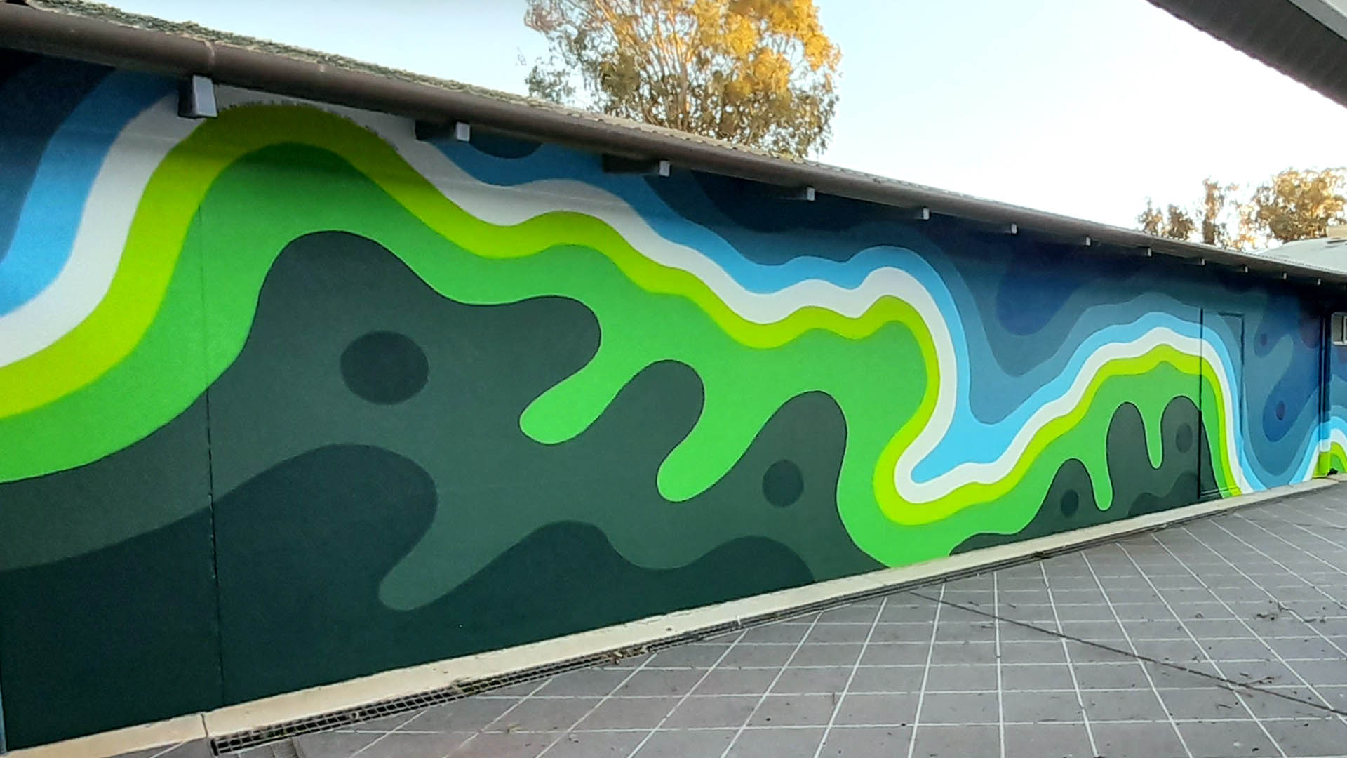 Pinjarra Urban Art Mural at Murray Aquatic and Leisure Centre