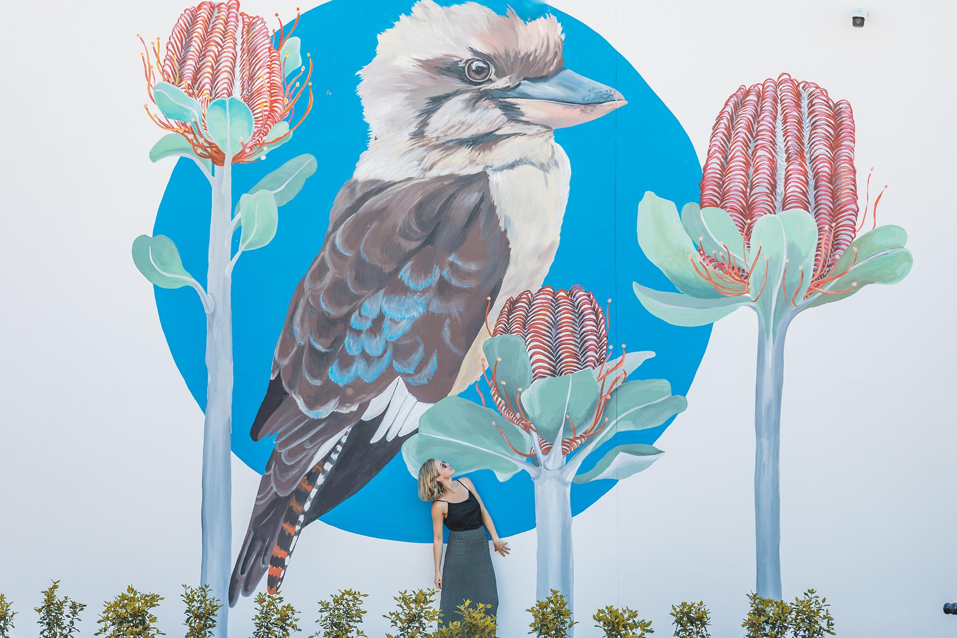 Urban art murals in Pinjarra Western Australia